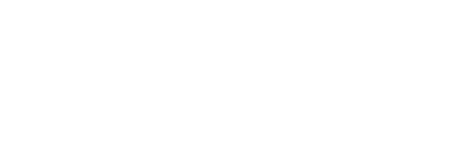 Dragon Network
