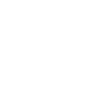 MSU Connect Logo