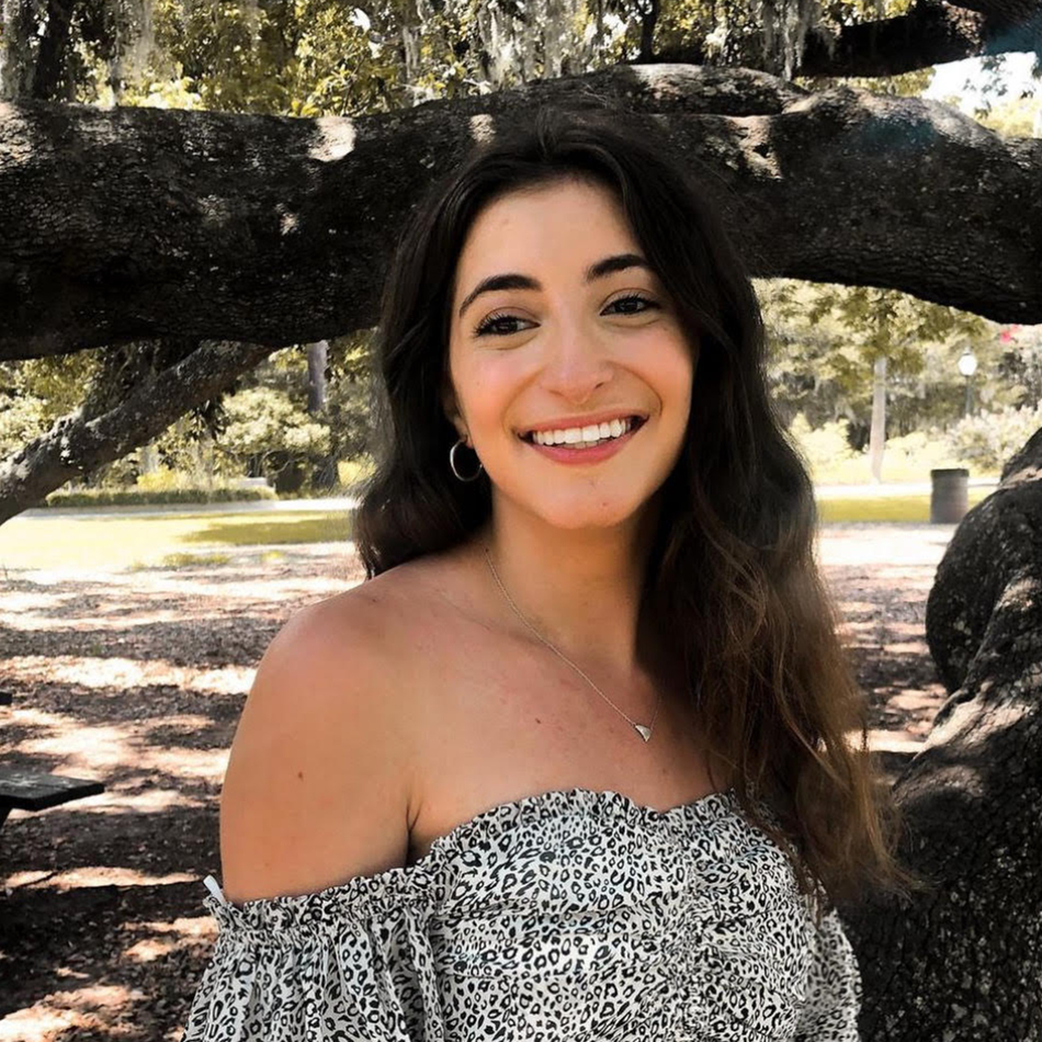 The TigerLink Gateway