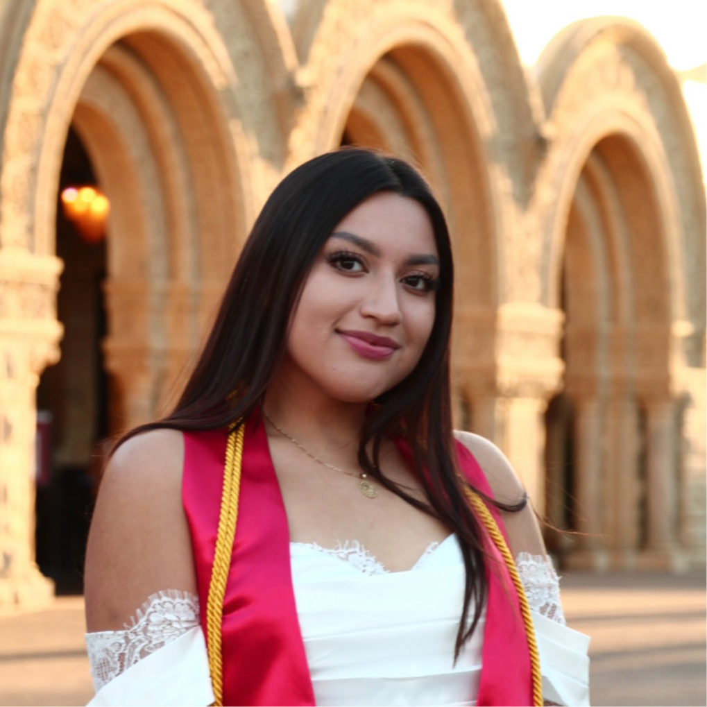 Stanford Alumni Mentoring (SAM)